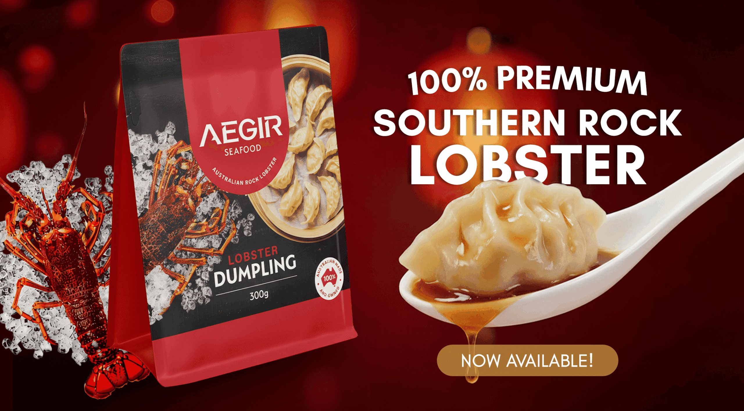 260119_Aegir_Banner (1) (1)